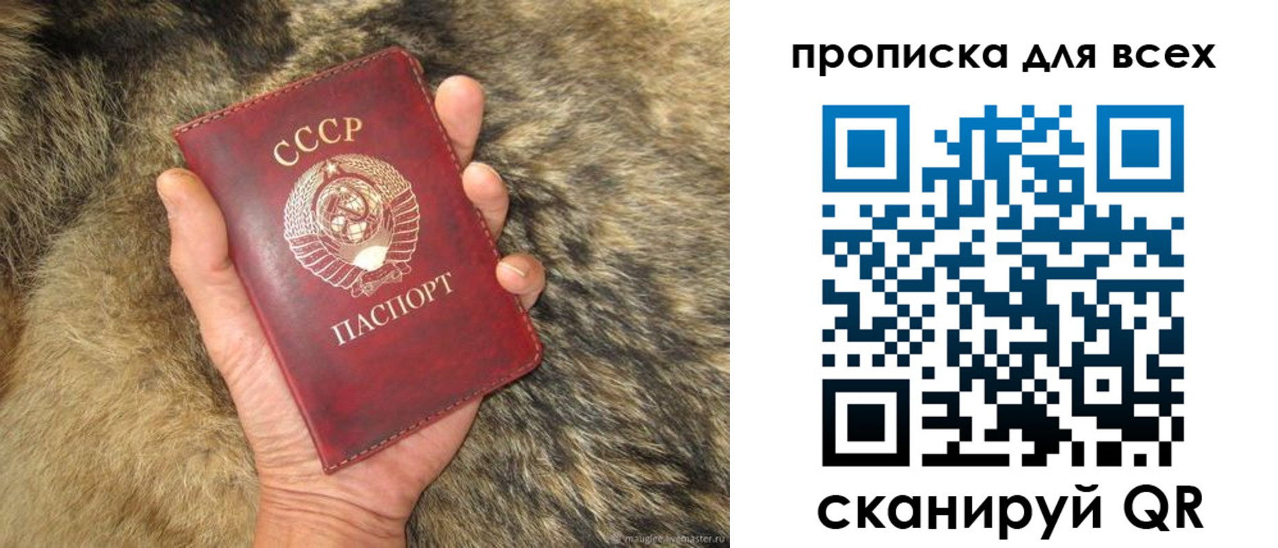 прописка в квартире в Россоши